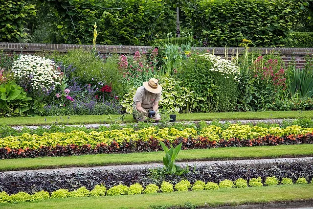 jardin con plantas
