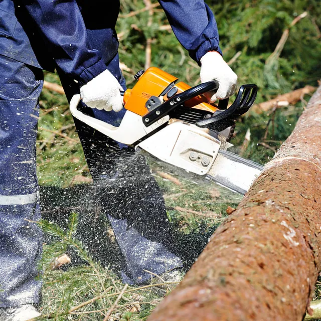 corte arbol