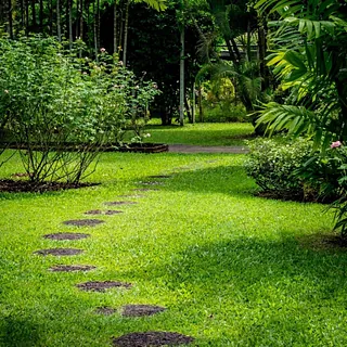 diseño jardin